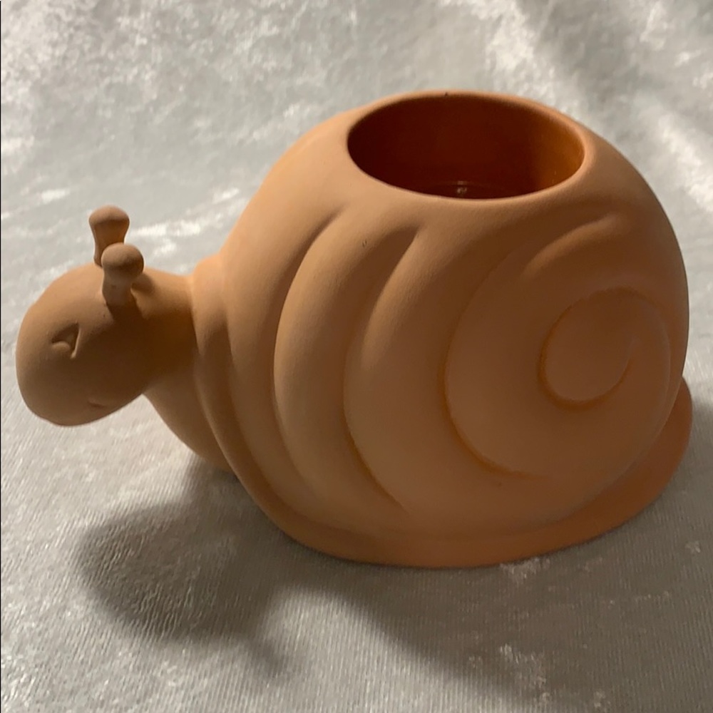 Terra cottage snail